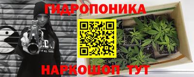 Альфа ПВП Беслан