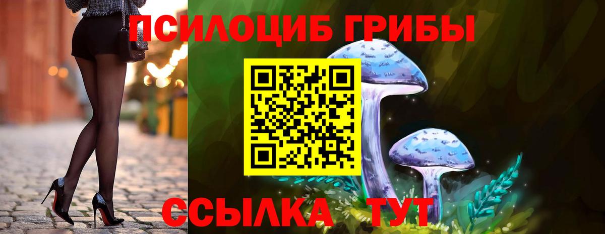 Кизилюрт  Галлюциногенные грибы Psilocybe  Вход с VPN  Псилоцибиновые грибы мухоморы 